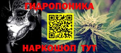 прущие грибы Волжск