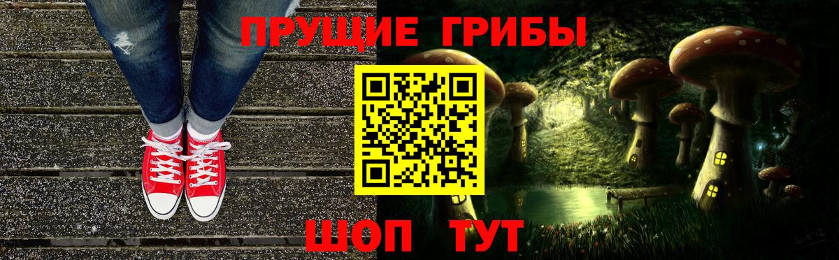 Псилоцибиновые грибы Magic Shrooms  Вход с VPN  Мирный  как найти   Галлюциногенные грибы Psilocybine cubensis 